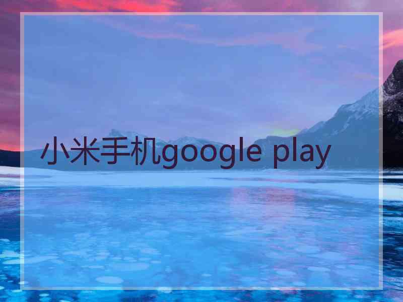 小米手机google play