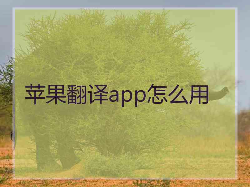 苹果翻译app怎么用