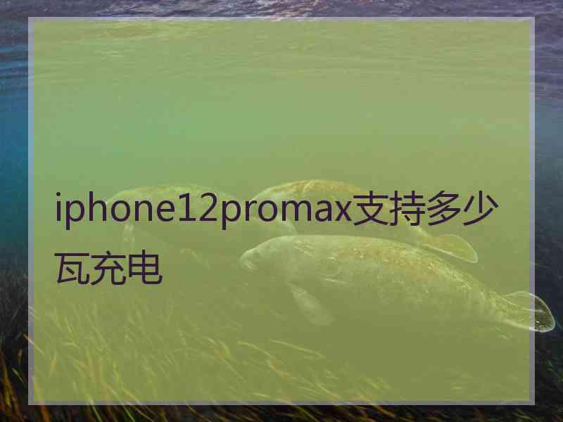 iphone12promax支持多少瓦充电