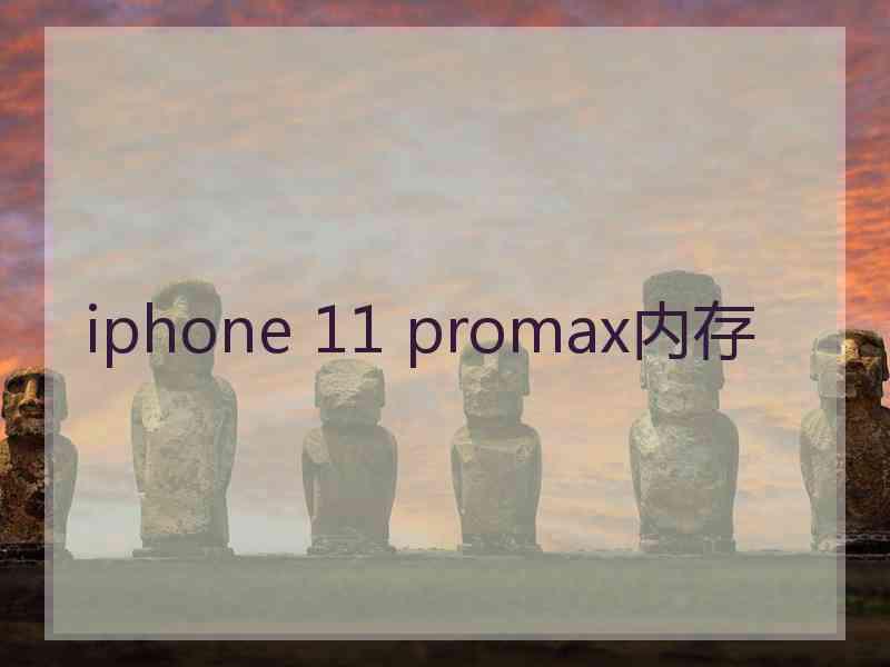 iphone 11 promax内存