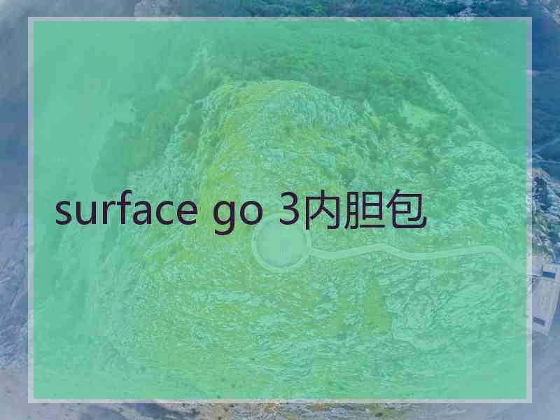 surface go 3内胆包