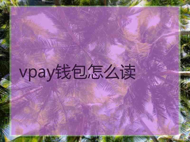 vpay钱包怎么读