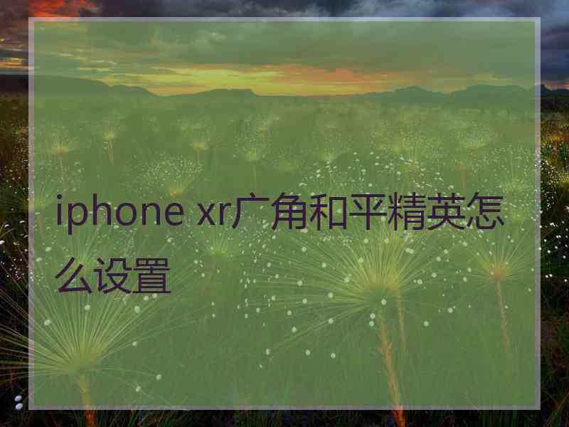 iphone xr广角和平精英怎么设置