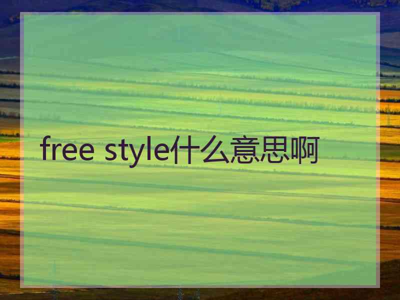 free style什么意思啊