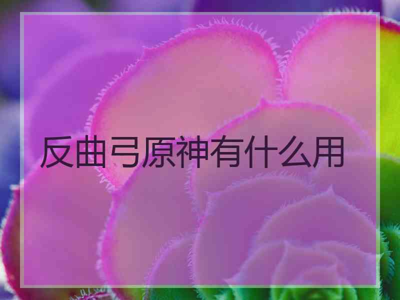 反曲弓原神有什么用