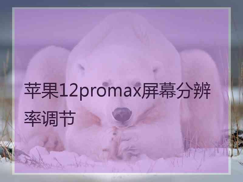 苹果12promax屏幕分辨率调节