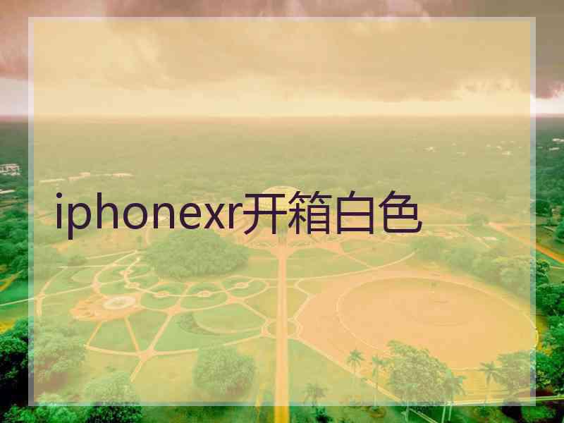 iphonexr开箱白色