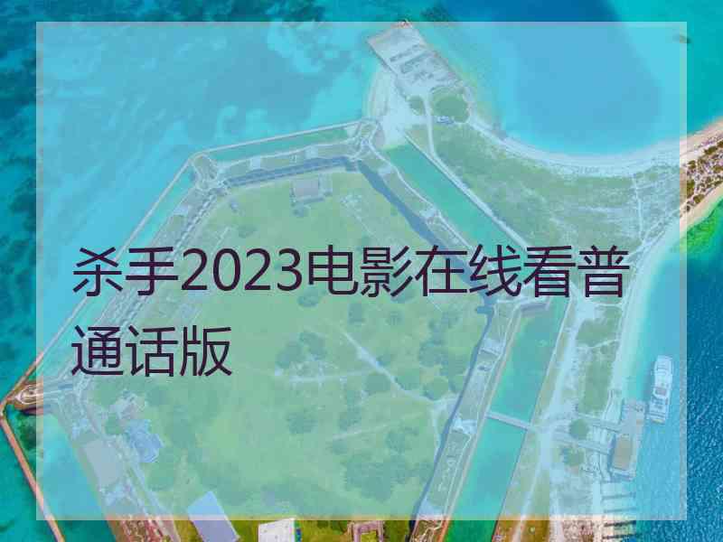 杀手2023电影在线看普通话版