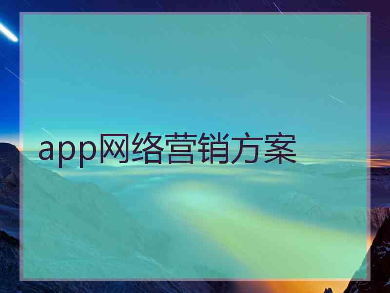 app网络营销方案