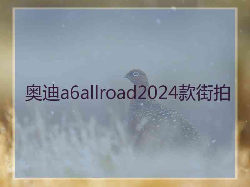 奥迪a6allroad2024款街拍