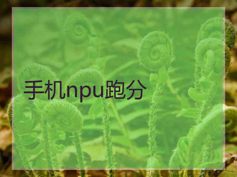 手机npu跑分