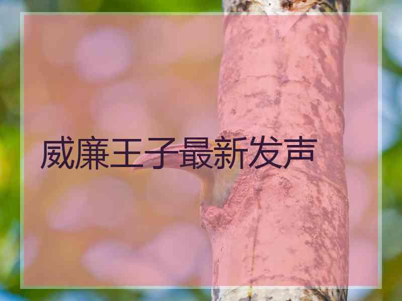 威廉王子最新发声