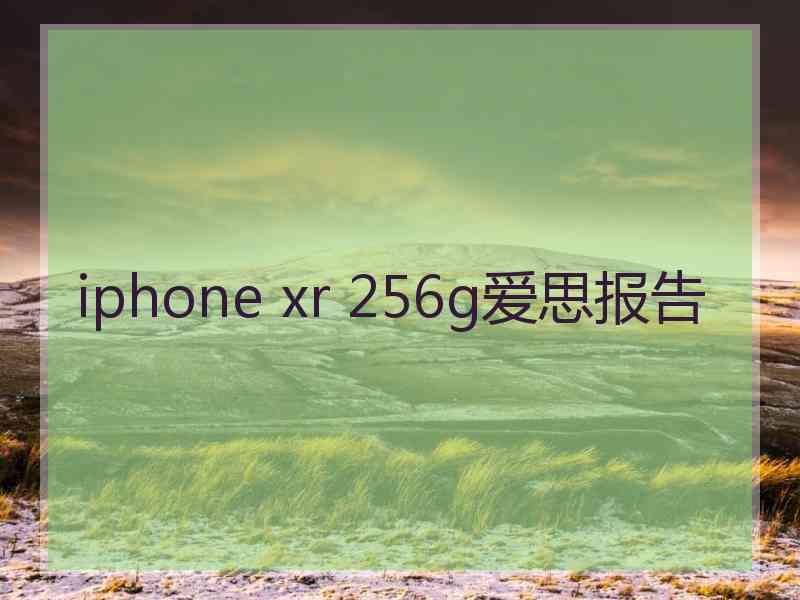 iphone xr 256g爱思报告