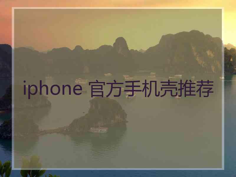 iphone 官方手机壳推荐