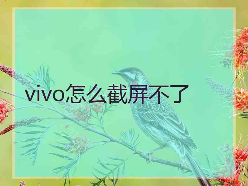 vivo怎么截屏不了