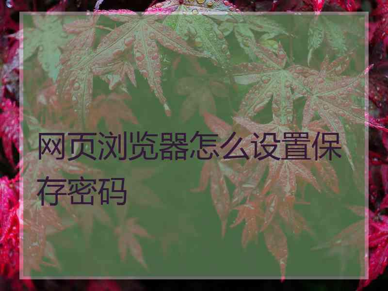 网页浏览器怎么设置保存密码