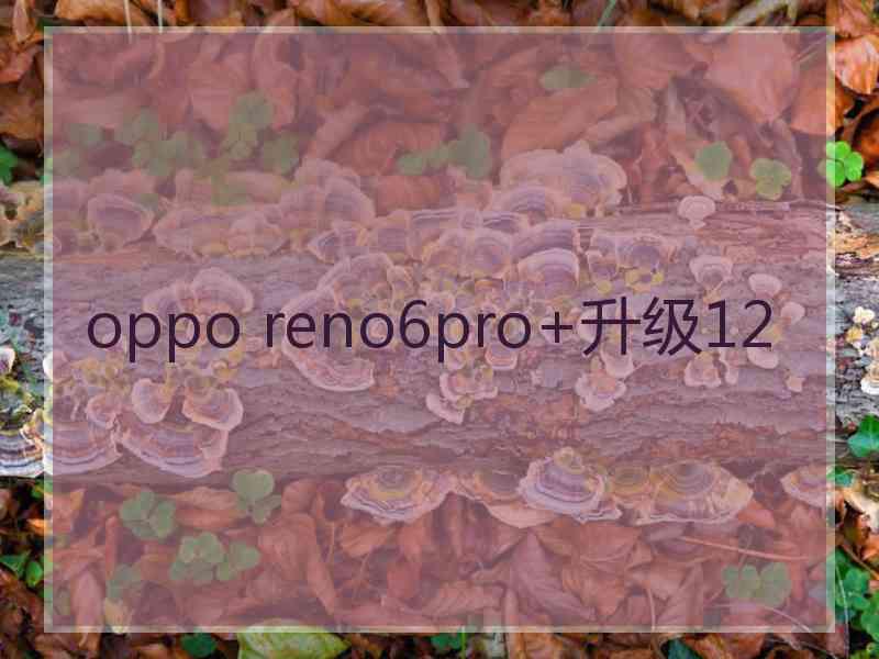 oppo reno6pro+升级12