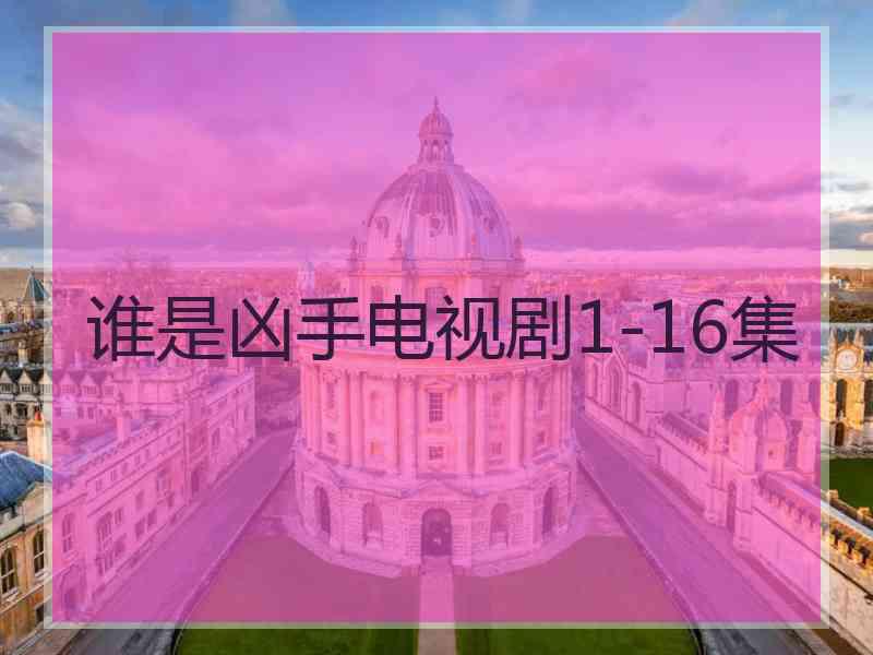 谁是凶手电视剧1-16集