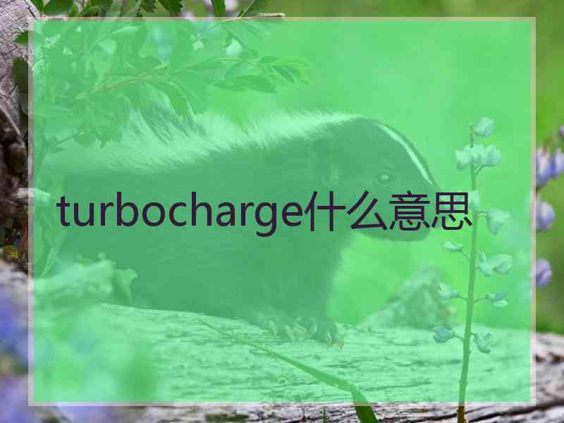 turbocharge什么意思