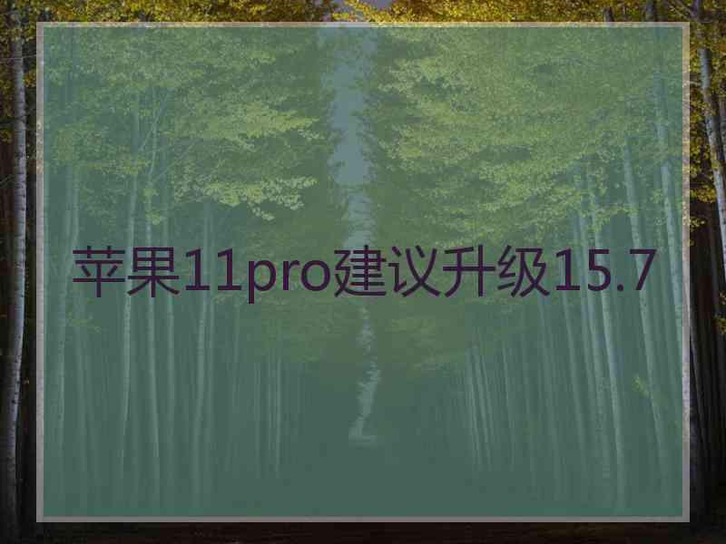 苹果11pro建议升级15.7