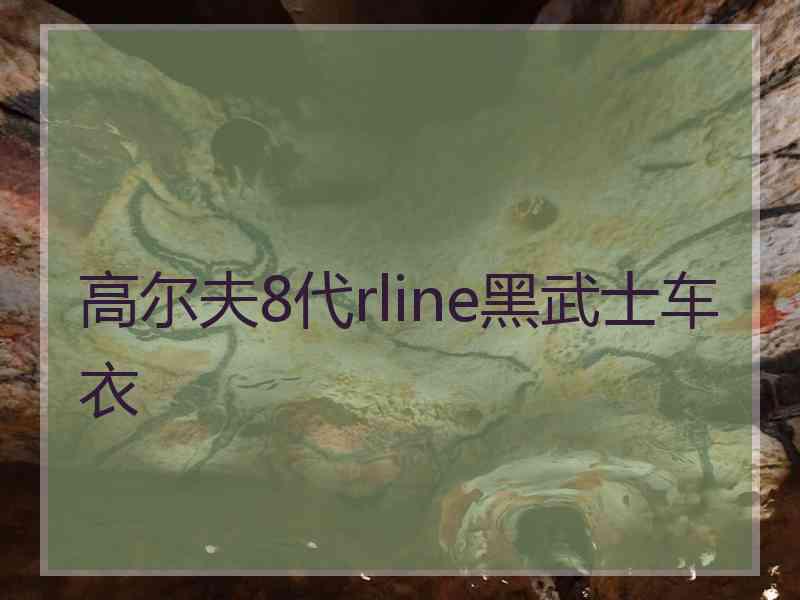 高尔夫8代rline黑武士车衣