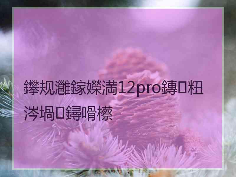 鑻规灉鎵嬫満12pro鏄粈涔堝鐞嗗櫒