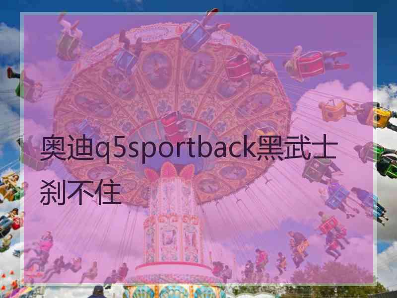 奥迪q5sportback黑武士刹不住