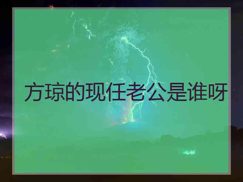 方琼的现任老公是谁呀