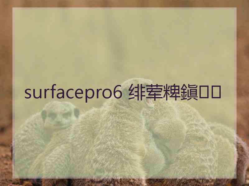 surfacepro6 绯荤粺鎭㈠