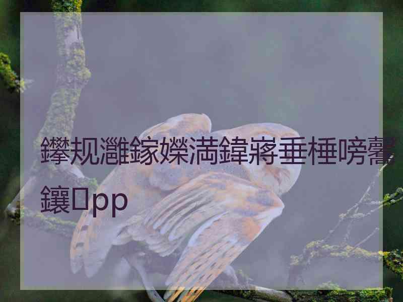 鑻规灉鎵嬫満鍏嶈垂棰嗙毊鑲pp