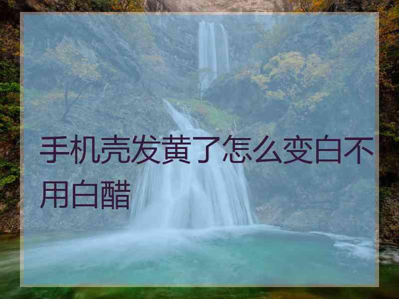 手机壳发黄了怎么变白不用白醋