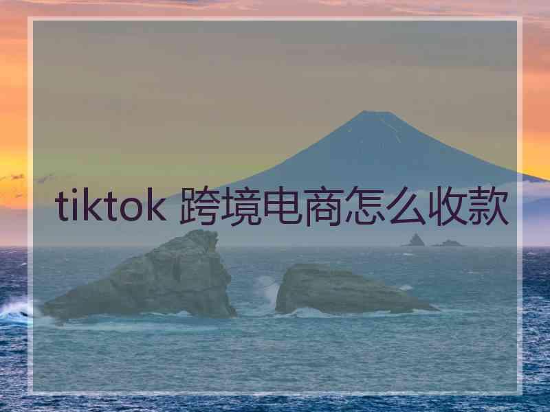 tiktok 跨境电商怎么收款