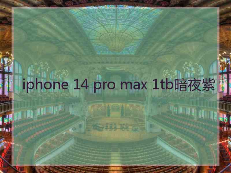 iphone 14 pro max 1tb暗夜紫