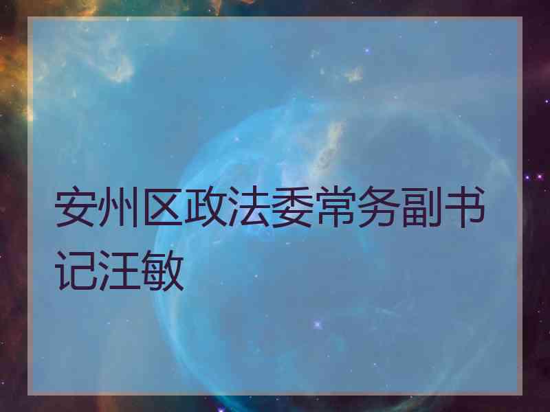 安州区政法委常务副书记汪敏