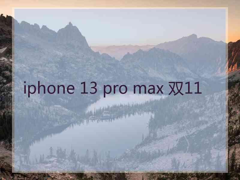 iphone 13 pro max 双11