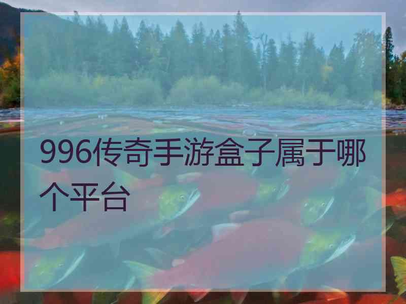 996传奇手游盒子属于哪个平台