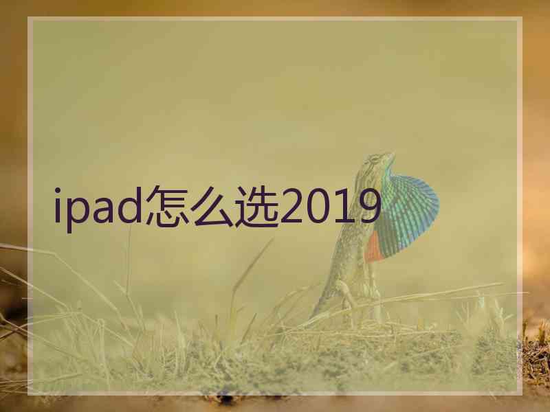 ipad怎么选2019