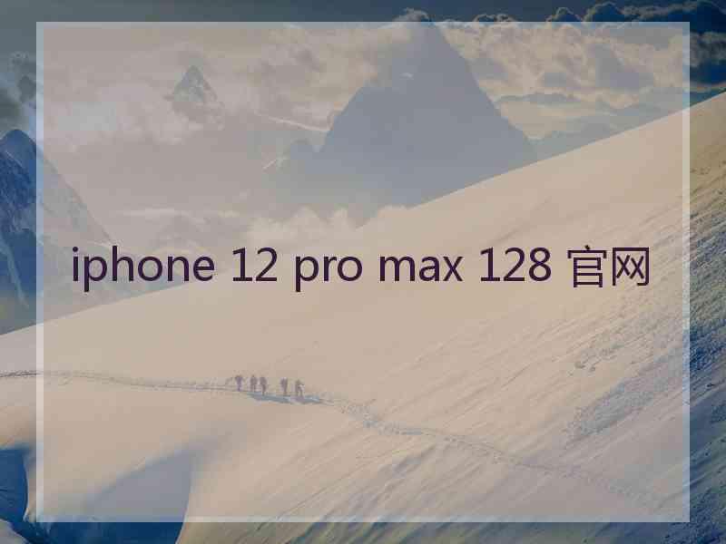 iphone 12 pro max 128 官网