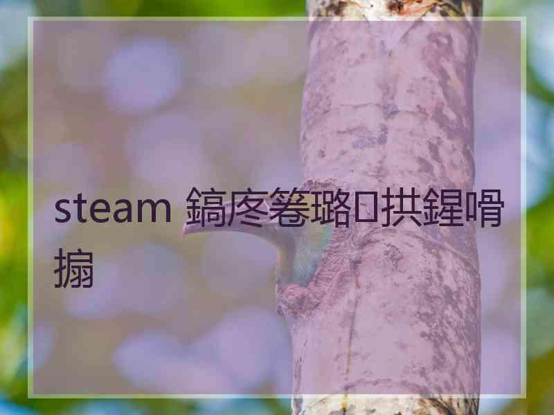 steam 鎬庝箞璐拱鍟嗗搧