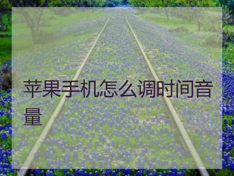 苹果手机怎么调时间音量