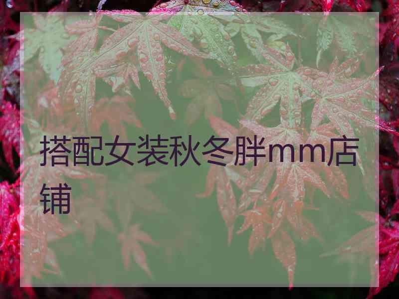 搭配女装秋冬胖mm店铺