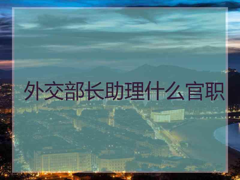 外交部长助理什么官职