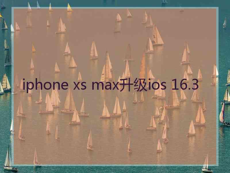 iphone xs max升级ios 16.3