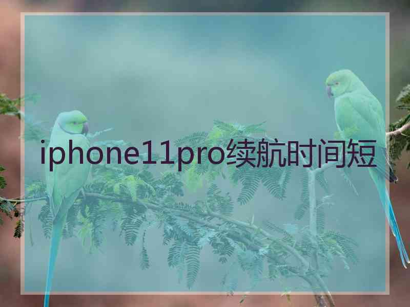 iphone11pro续航时间短