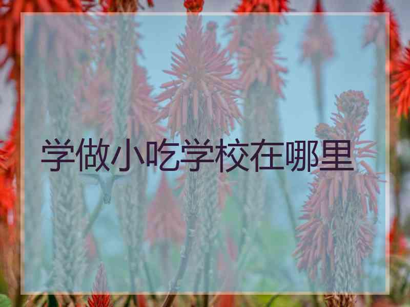 学做小吃学校在哪里