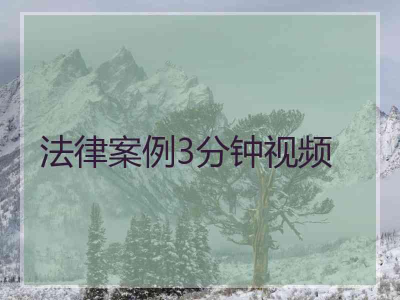 法律案例3分钟视频