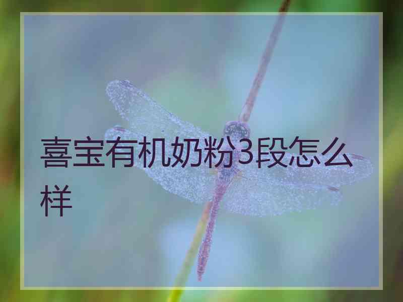 喜宝有机奶粉3段怎么样