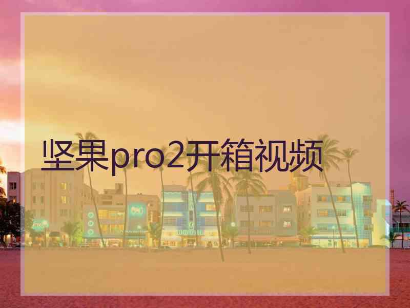 坚果pro2开箱视频