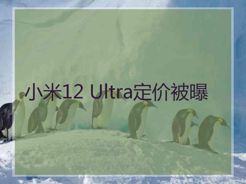 小米12 Ultra定价被曝