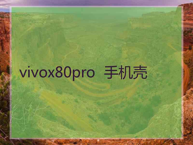 vivox80pro  手机壳